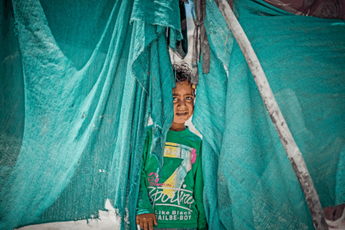 Charities and not for profit